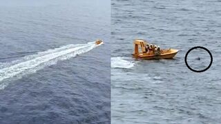 Dad jumps overboard to save daughter who fell off Disney Dream cruise ship