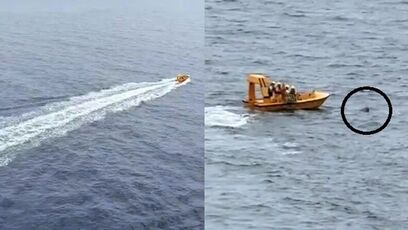 Dad jumps overboard to save daughter who fell off Disney Dream cruise ship