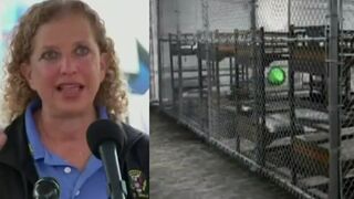 Wasserman Schultz says Alligator Alcatraz inmates "brush their teeth where they poop"