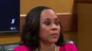 Fani Willis linked to 212 pages of "conspiracy"