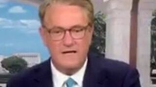 Scarborough calls Bondi's latest move 'extraordinarily stupid'