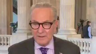 CNN destroyed Chuck over the "Schumer Shutdown"