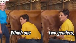 Kari Lake Dares NY Times Reporter To Milk A Bull