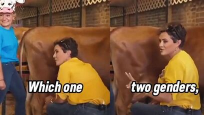 Kari Lake Dares NY Times Reporter To Milk A Bull