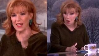 Joy Behar Claims ICE Deportations Are About the Next Election