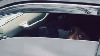 ICE agent teases driver with a hilarious welfare joke