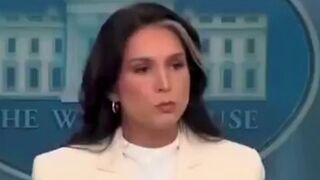 CNN Pulls the Plug as Tulsi Gabbard Starts Saying This