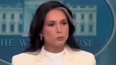 CNN Pulls the Plug as Tulsi Gabbard Starts Saying This
