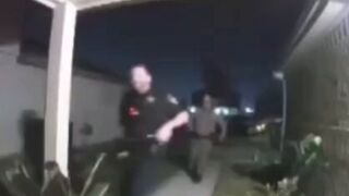 There are many good arguments for the wood chipper