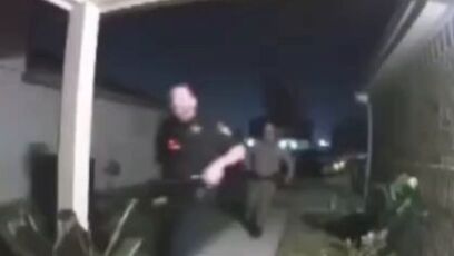 There are many good arguments for the wood chipper