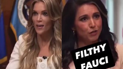 Tulsi confirms the REAL REASON Fauci wanted a preemptive pardon