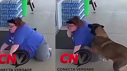 Woman identifies as dog, then gets attacked by one