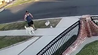 Loser caught kicking American flags