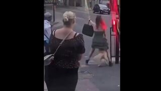 Muslim invaders stab a Labrador retriever that was protecting women from being attacked
