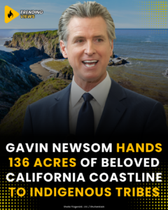California Governor Gavin Newsom in front of a rugged coastal cliff and beach
