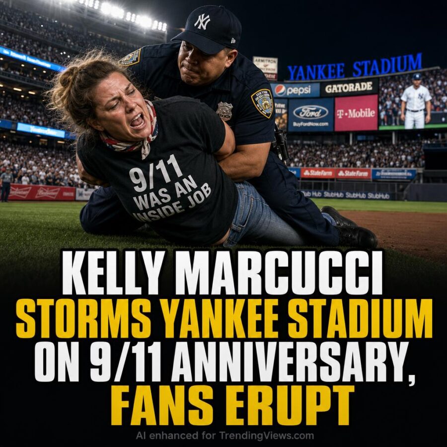 Protester Storms Yankee Stadium on 9/11 Anniversary, Fans Erupt
